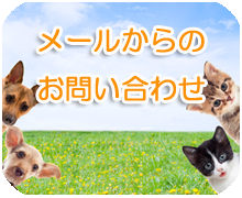 メールでのお問い合わせここをクリック